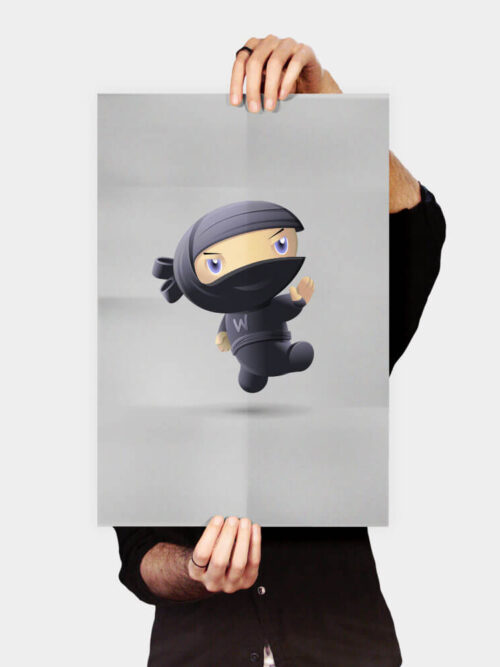 Flying Ninja